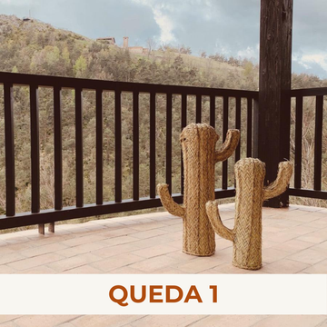 Cactus de esparto Deserto - Vimetea