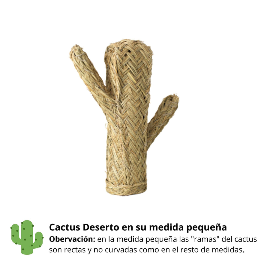 Cactus de esparto Deserto - Vimetea