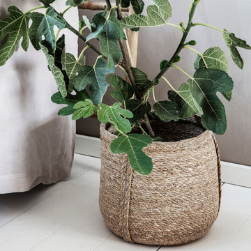 Cesta de seagrass Verona