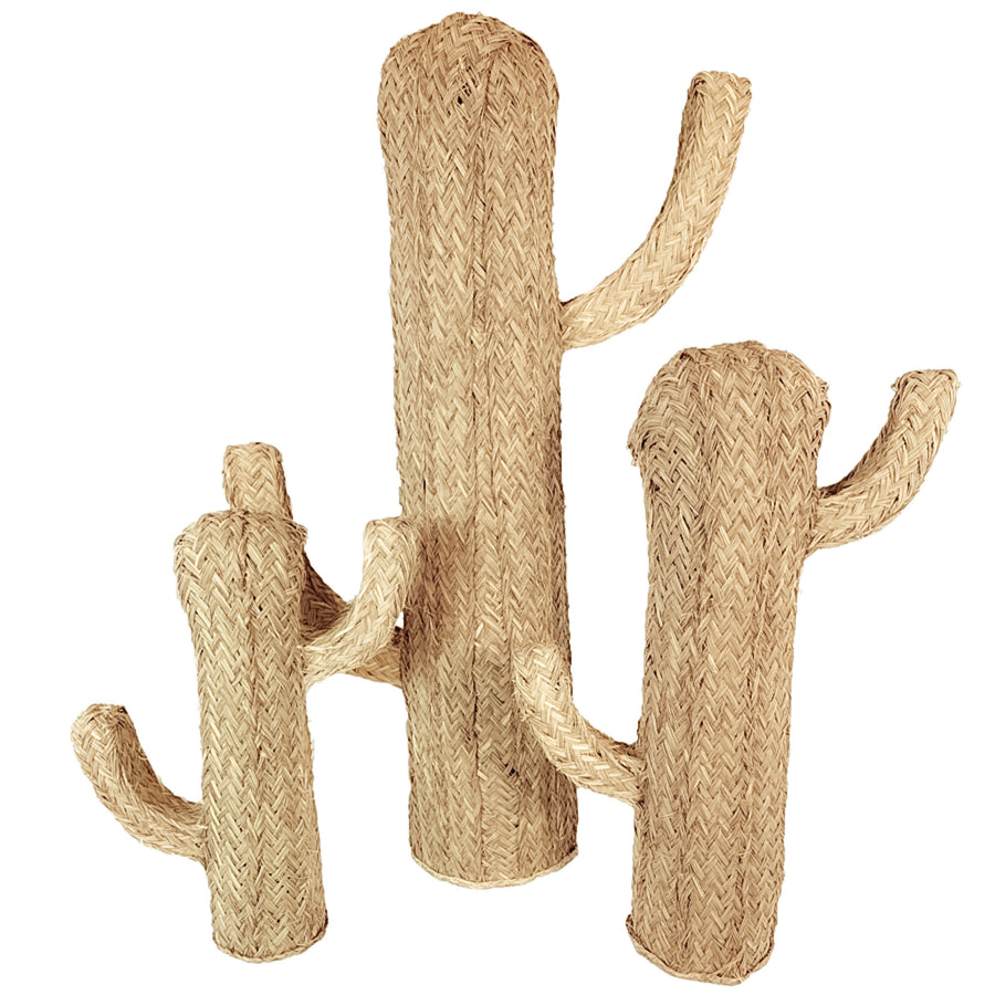 Cactus de esparto Deserto - Vimetea